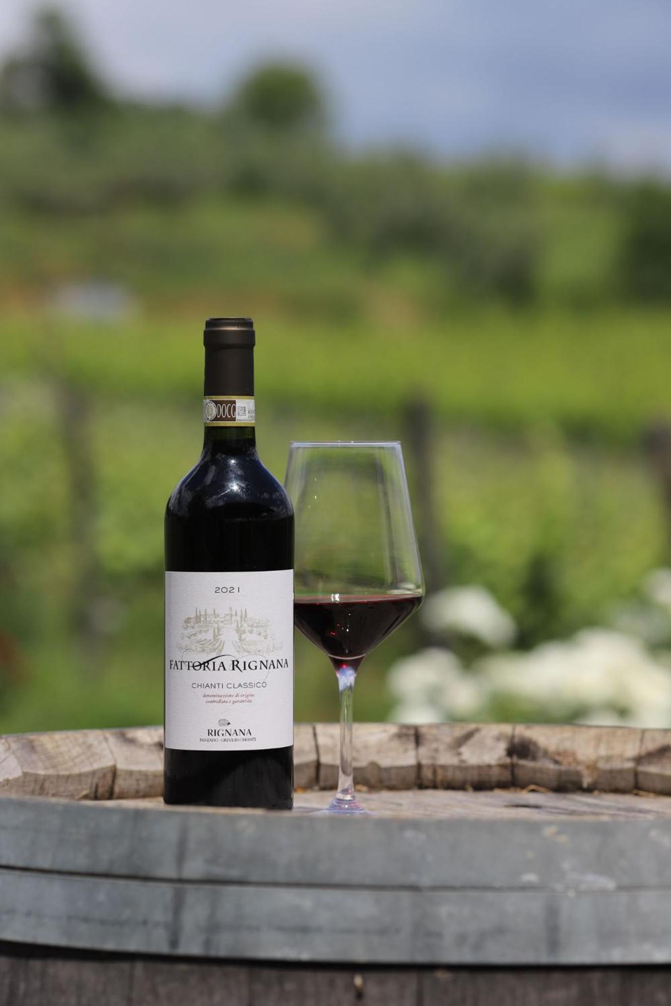 Fattoria Di Rignana Winery Bnb Greve in Chianti Exterior photo